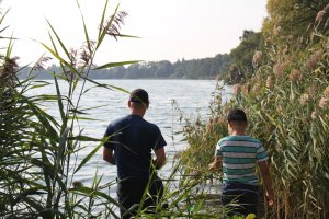ojciec z  synem stoją w trzcinach i patrzą na jezioro