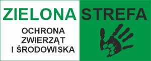 Zielona strefa
