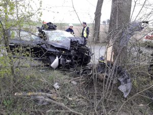 Zdjęcie przedstawia rozbity samochód marki Renault. Uszkodzony przód pojazdu. Z prawej strony drzewo z widocznym brakiem kory po uderzeniu. Przy samochodzie stoi policjant i strażak.